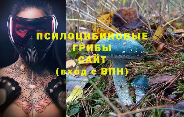 бошки Горно-Алтайск