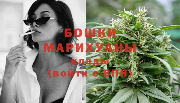 гидропоника Горняк