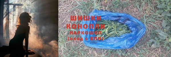 шишки Дмитров