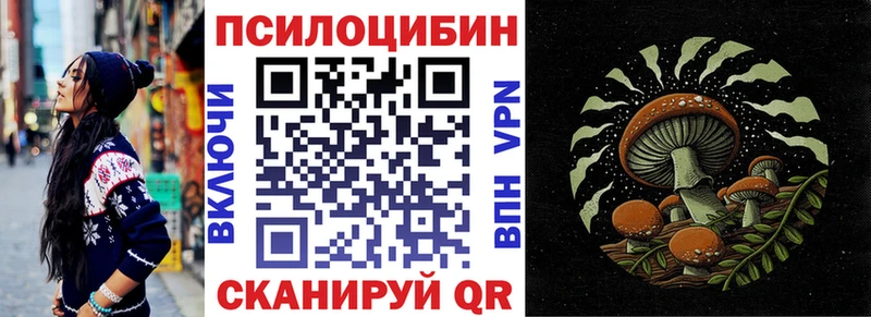 ссылка на мегу как войти  купить наркотики цена  Донской  Галлюциногенные грибы Psilocybe 