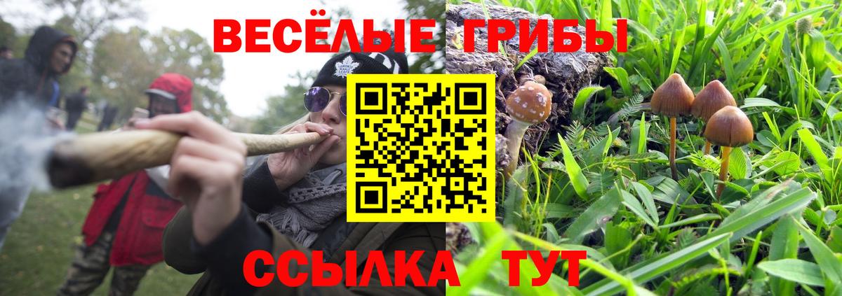 Галлюциногенные грибы прущие грибы Донской